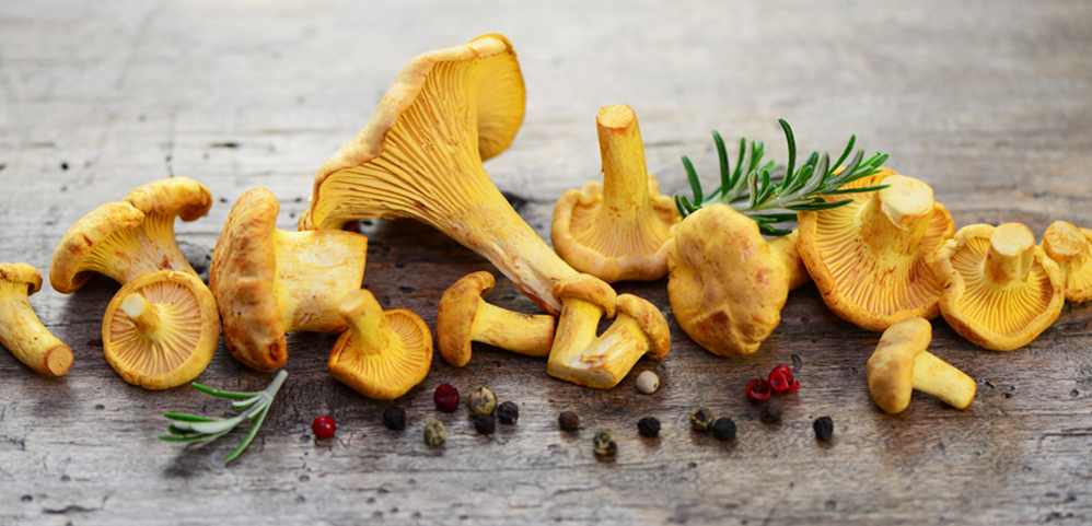 Frisch gekochte Menüs